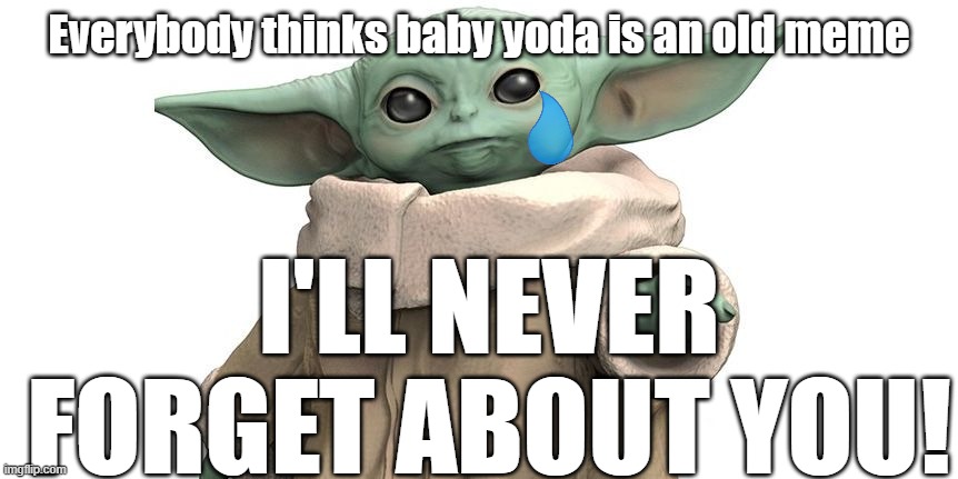 I'LL NEVER FORGET! |  Everybody thinks baby yoda is an old meme; I'LL NEVER FORGET ABOUT YOU! | image tagged in never forget,baby yoda,grogu,meme,the child,forget | made w/ Imgflip meme maker