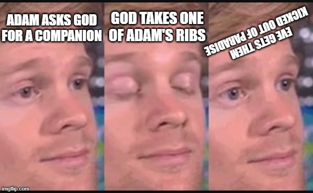 Adam and Eve (Basically) | GOD TAKES ONE OF ADAM'S RIBS; ADAM ASKS GOD FOR A COMPANION; EVE GETS THEM KICKED OUT OF PARADISE | image tagged in blinking guy | made w/ Imgflip meme maker