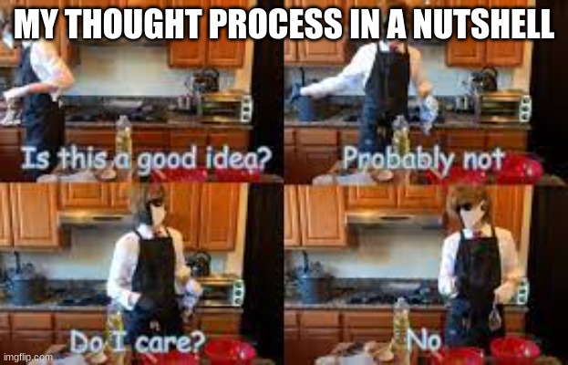 MY THOUGHT PROCESS IN A NUTSHELL | image tagged in funny meme | made w/ Imgflip meme maker