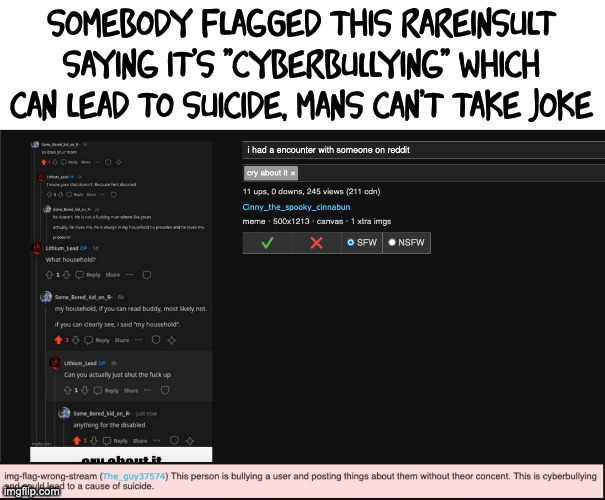 HI | somebody flagged this rareinsult saying it's ''cyberbullying'' which can lead to suicide, mans can't take joke | made w/ Imgflip meme maker