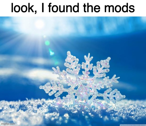 snowflake | look, I found the mods | image tagged in snowflake | made w/ Imgflip meme maker