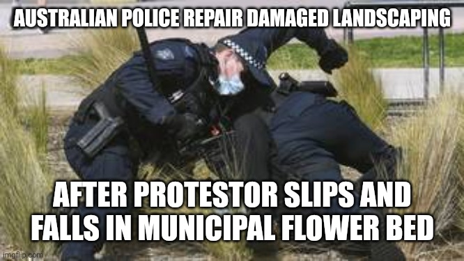 SLIP AND FALL | AUSTRALIAN POLICE REPAIR DAMAGED LANDSCAPING; AFTER PROTESTOR SLIPS AND FALLS IN MUNICIPAL FLOWER BED | image tagged in flower bed fall,funny memes | made w/ Imgflip meme maker