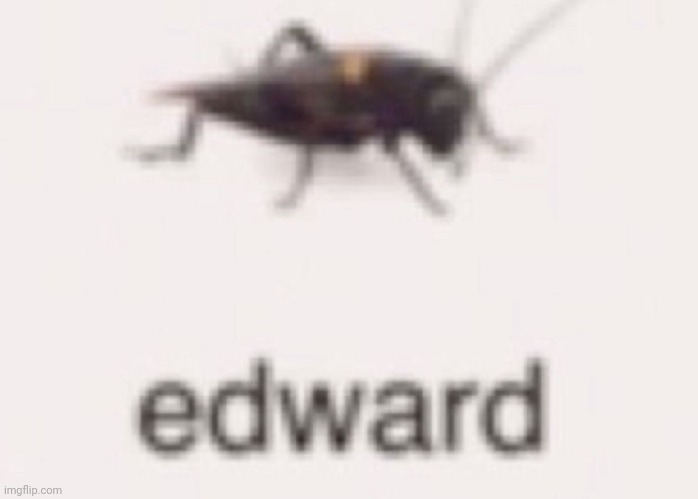 Edward | made w/ Imgflip meme maker
