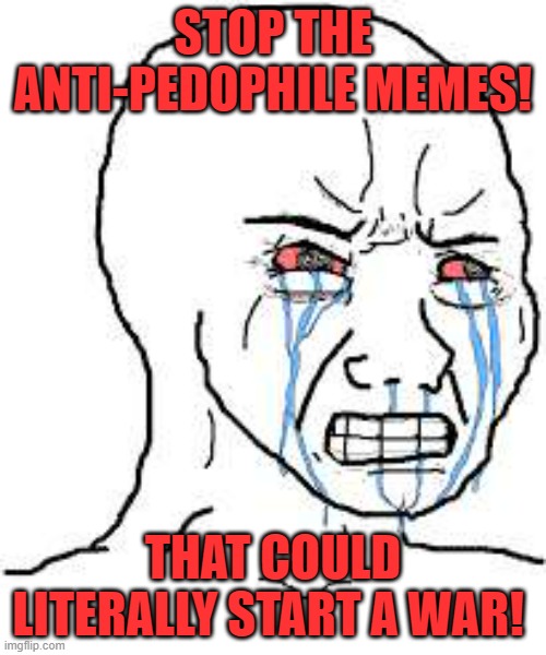 YOU GUYS ARE LITERALLY HURTING ME! | STOP THE ANTI-PEDOPHILE MEMES! THAT COULD LITERALLY START A WAR! | image tagged in wojak | made w/ Imgflip meme maker