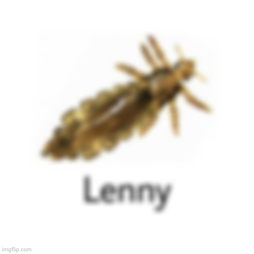 lenny | made w/ Imgflip meme maker