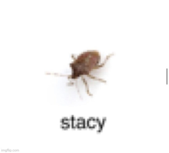 Stacy | made w/ Imgflip meme maker