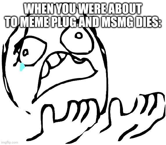 Lol | WHEN YOU WERE ABOUT TO MEME PLUG AND MSMG DIES: | image tagged in whyisitbold | made w/ Imgflip meme maker