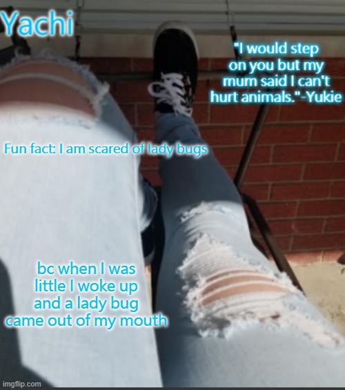Yachi's shoe temp | Fun fact: I am scared of lady bugs; bc when I was little I woke up and a lady bug came out of my mouth | image tagged in yachi's shoe temp | made w/ Imgflip meme maker