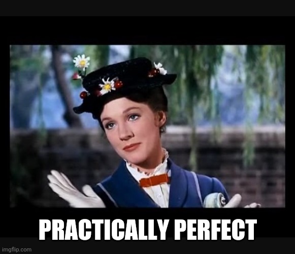 Mary Poppins slow clap | PRACTICALLY PERFECT | image tagged in mary poppins slow clap | made w/ Imgflip meme maker