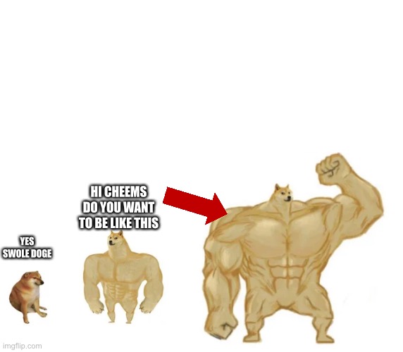 cheems, buff doge, ultra doge | HI CHEEMS DO YOU WANT TO BE LIKE THIS; YES SWOLE DOGE | image tagged in cheems buff doge ultra doge | made w/ Imgflip meme maker