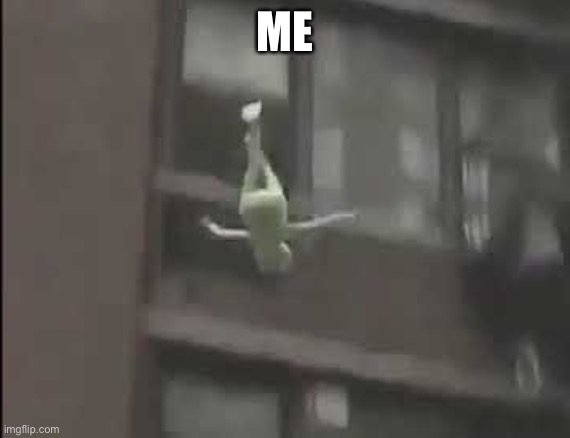 Falling kermit The Frog | ME | image tagged in falling kermit the frog | made w/ Imgflip meme maker