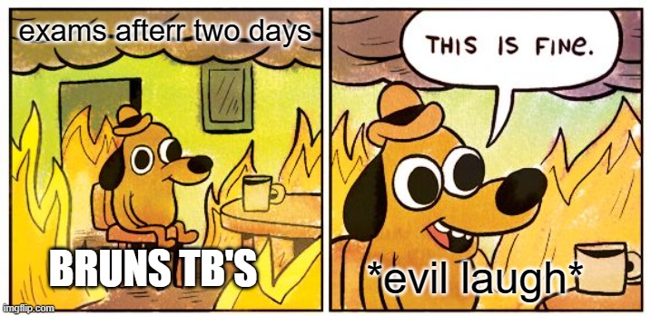 This Is Fine Meme | exams afterr two days; BRUNS TB'S; *evil laugh* | image tagged in memes,this is fine | made w/ Imgflip meme maker