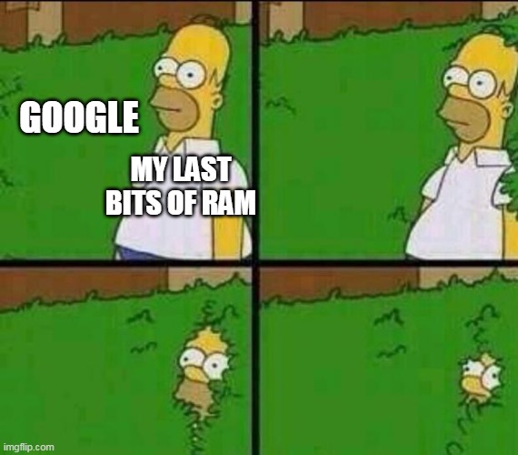 Homer Simpson in Bush - Large | GOOGLE; MY LAST BITS OF RAM | image tagged in homer simpson in bush - large,memes,google | made w/ Imgflip meme maker