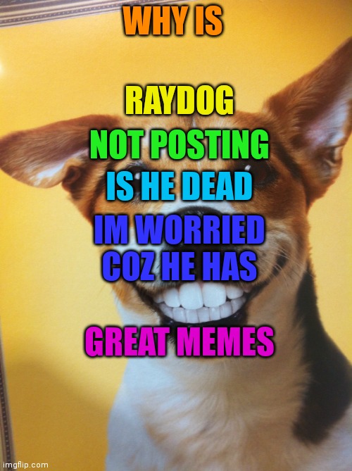 Why? | RAYDOG; WHY IS; NOT POSTING; IS HE DEAD; IM WORRIED  COZ HE HAS; GREAT MEMES | image tagged in raydog | made w/ Imgflip meme maker