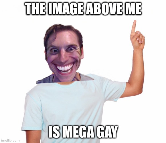 point up | THE IMAGE ABOVE ME; IS MEGA GAY | image tagged in point up | made w/ Imgflip meme maker