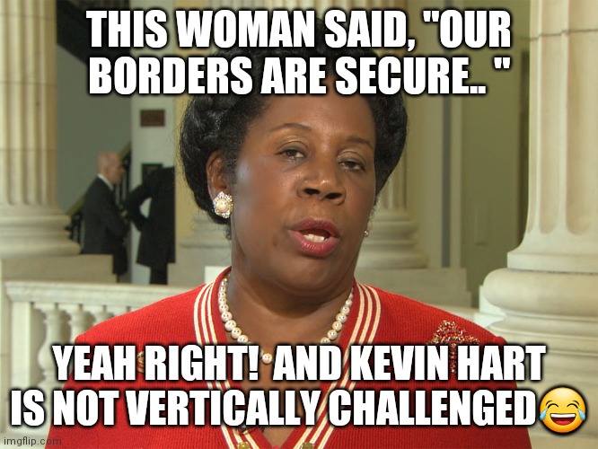 "We're off to see the wizard...follow the yellow brick road!"  Maybe she ate some poppies lol | THIS WOMAN SAID, "OUR BORDERS ARE SECURE.. "; YEAH RIGHT!  AND KEVIN HART IS NOT VERTICALLY CHALLENGED😂 | image tagged in sheila jackson lee,build the wall,wizard of oz,joe biden | made w/ Imgflip meme maker
