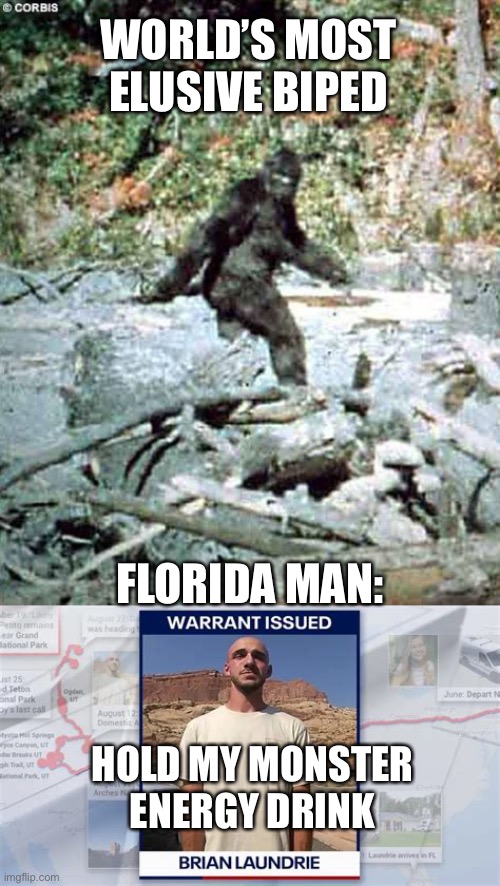 Keep you eyes open! Will Dog find him? |  WORLD’S MOST ELUSIVE BIPED; FLORIDA MAN:; HOLD MY MONSTER ENERGY DRINK | image tagged in bigfoot,brian laundrie,elusive,florida man | made w/ Imgflip meme maker