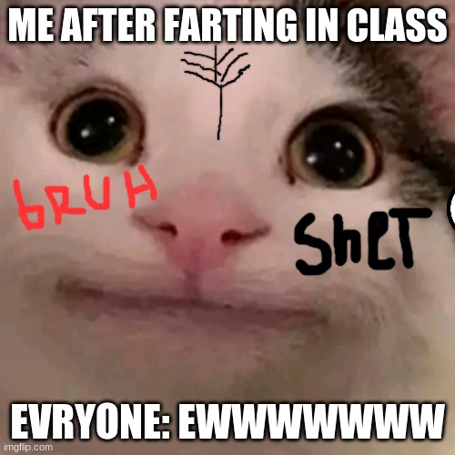 ME after | ME AFTER FARTING IN CLASS; EVRYONE: EWWWWWWW | image tagged in beluga | made w/ Imgflip meme maker