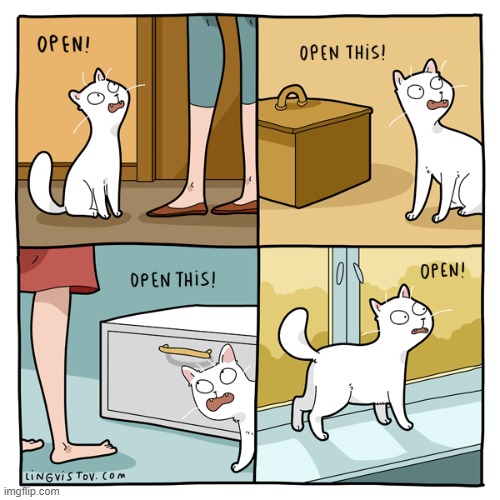 A Cat's Way Of Thinking | image tagged in memes,comics,cats,open,this,now | made w/ Imgflip meme maker