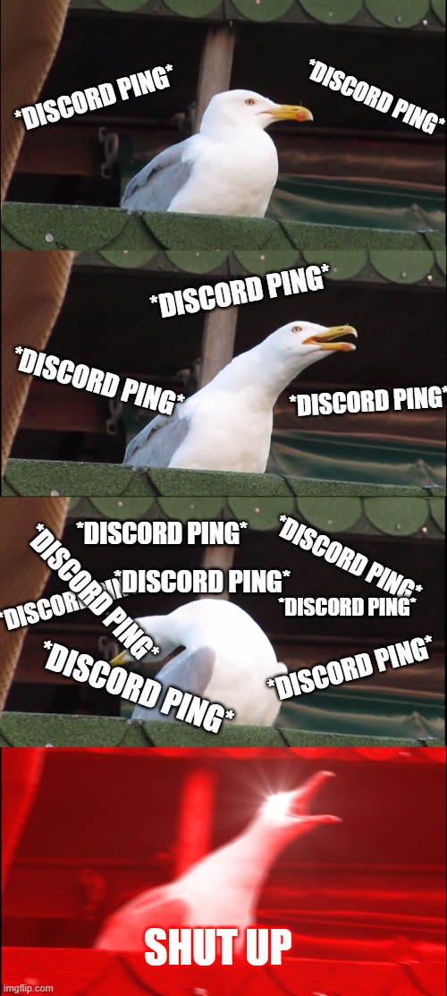 discord is annoying | *DISCORD PING*; *DISCORD PING*; *DISCORD PING*; *DISCORD PING*; *DISCORD PING*; *DISCORD PING*; *DISCORD PING*; *DISCORD PING*; *DISCORD PING*; *DISCORD PING*; *DISCORD PING*; *DISCORD PING*; *DISCORD PING*; SHUT UP | image tagged in memes,inhaling seagull | made w/ Imgflip meme maker