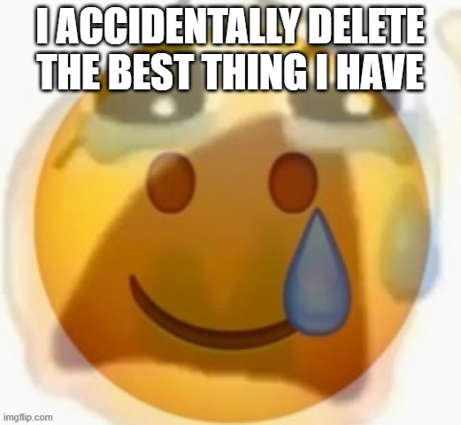 FUUUUUUUU- | I ACCIDENTALLY DELETE THE BEST THING I HAVE | image tagged in pain | made w/ Imgflip meme maker