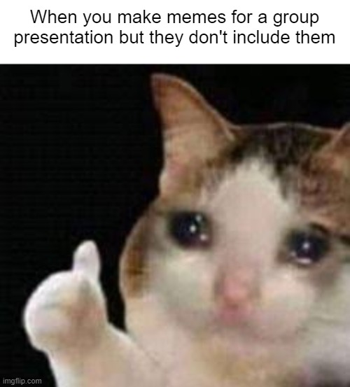 Making memes out of sadness | When you make memes for a group presentation but they don't include them | image tagged in approved crying cat,whyyy | made w/ Imgflip meme maker