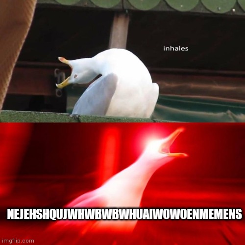 inhaling bird meme | NEJEHSHQUJWHWBWBWHUAIWOWOENMEMENS | image tagged in inhaling bird meme | made w/ Imgflip meme maker