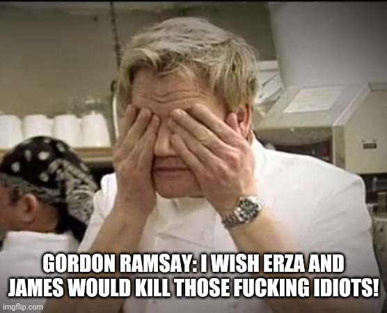 Gordon Ramsey | GORDON RAMSAY: I WISH ERZA AND JAMES WOULD KILL THOSE FUCKING IDIOTS! | image tagged in gordon ramsey | made w/ Imgflip meme maker