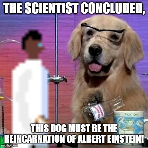 Or he drunk from the toilet overflowing with off-brand,irradiated red-bull. | THE SCIENTIST CONCLUDED, THIS DOG MUST BE THE REINCARNATION OF ALBERT EINSTEIN! | image tagged in science dog,8-bit scientist observes,scientist concludes | made w/ Imgflip meme maker