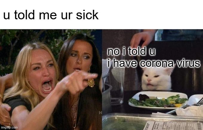Woman Yelling At Cat Meme | u told me ur sick; no i told u i have corona virus | image tagged in memes,woman yelling at cat | made w/ Imgflip meme maker