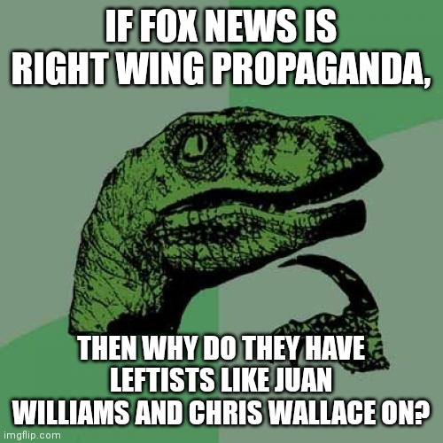 Philosoraptor | IF FOX NEWS IS RIGHT WING PROPAGANDA, THEN WHY DO THEY HAVE LEFTISTS LIKE JUAN WILLIAMS AND CHRIS WALLACE ON? | image tagged in memes,philosoraptor | made w/ Imgflip meme maker