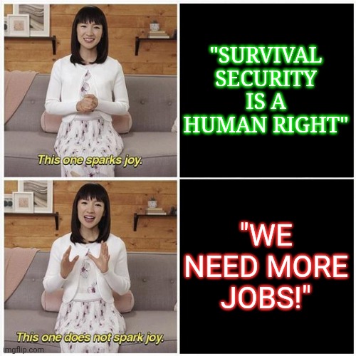 Pick One |  "SURVIVAL SECURITY IS A HUMAN RIGHT"; "WE NEED MORE JOBS!" | image tagged in marie kondo spark joy,jobs,survival,security,social security,capitalism | made w/ Imgflip meme maker