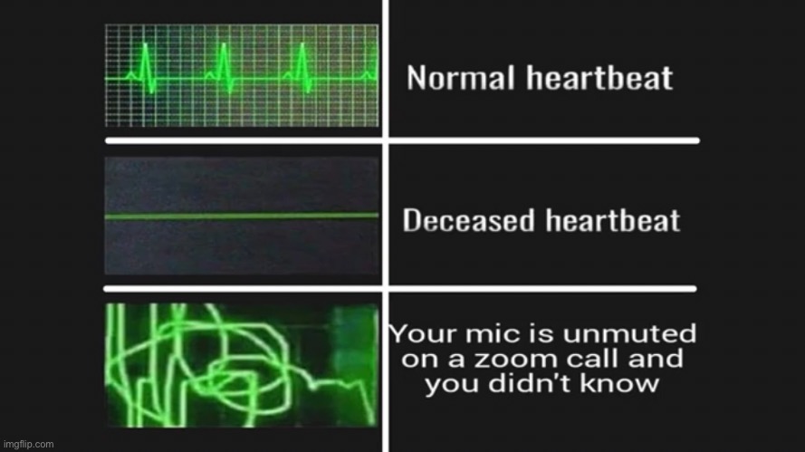 Who can relate to this? | image tagged in meme,zoom,normal heartbeat deceased heartbeat,repost | made w/ Imgflip meme maker