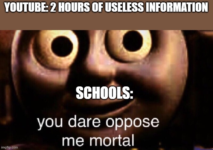 relatable | YOUTUBE: 2 HOURS OF USELESS INFORMATION; SCHOOLS: | image tagged in you dare oppose me mortal | made w/ Imgflip meme maker