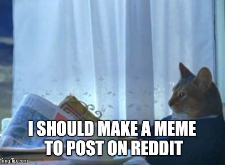 I Should Buy A Boat Cat Meme | I SHOULD MAKE A MEME TO POST ON REDDIT | image tagged in memes,i should buy a boat cat | made w/ Imgflip meme maker