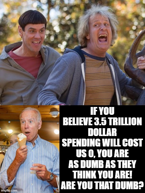 Dumb, Dumber and DUMBEST!!!! | IF YOU BELIEVE 3.5 TRILLION DOLLAR SPENDING WILL COST US 0, YOU ARE AS DUMB AS THEY THINK YOU ARE! ARE YOU THAT DUMB? | image tagged in morons,idiots,special kind of stupid,stupid liberals,do you are have stupid | made w/ Imgflip meme maker