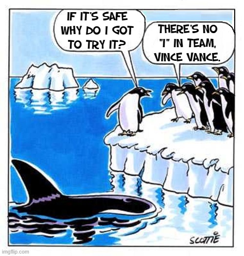 Why do I always hafta go first?! |  IF IT'S SAFE
WHY DO I GOT
TO TRY IT? THERE'S NO
"I" IN TEAM,
VINCE VANCE. | image tagged in vince vance,penguins,killer whale,memes,cartoons,no i in team | made w/ Imgflip meme maker