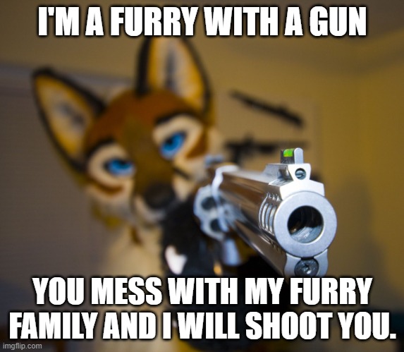 Don't mess with the furries | I'M A FURRY WITH A GUN; YOU MESS WITH MY FURRY FAMILY AND I WILL SHOOT YOU. | image tagged in furry with gun | made w/ Imgflip meme maker