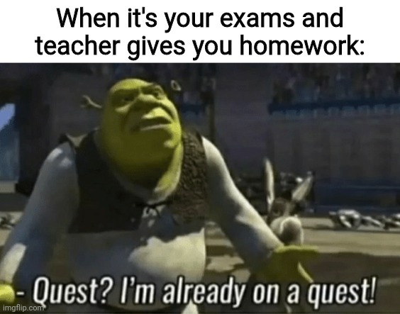 Ggjhjbiutyiutybg67t | When it's your exams and teacher gives you homework: | image tagged in shreks on a quest | made w/ Imgflip meme maker