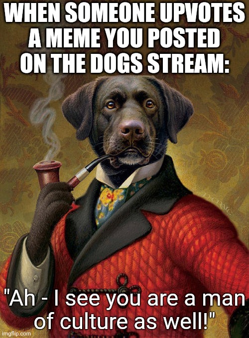 Well met, good sir... |  WHEN SOMEONE UPVOTES
A MEME YOU POSTED ON THE DOGS STREAM:; "Ah - I see you are a man
of culture as well!" | image tagged in doggo,ah i see you are a man of culture as well,cultured,sophisticated,elegant,well met | made w/ Imgflip meme maker