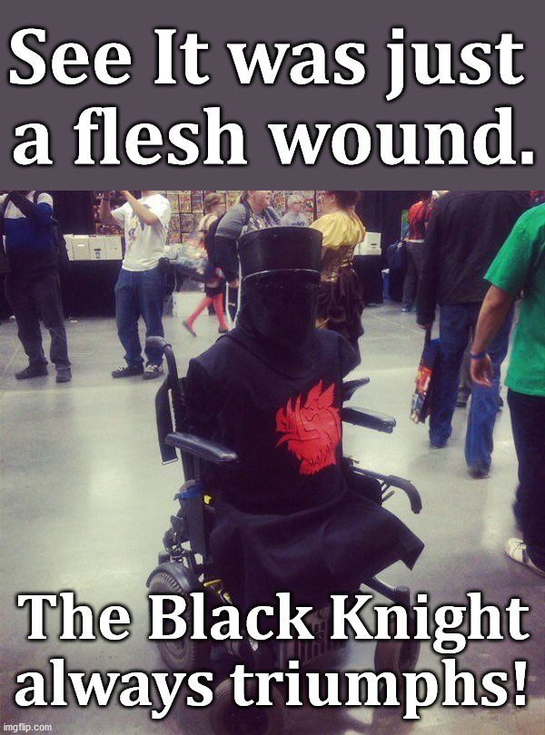 None shall pass! .... this meme | See It was just 
a flesh wound. The Black Knight always triumphs! | image tagged in monty python and the holy grail,the dark knight | made w/ Imgflip meme maker