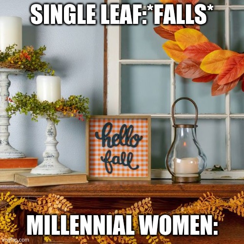 Fall is here | SINGLE LEAF:*FALLS*; MILLENNIAL WOMEN: | image tagged in funny,funny memes | made w/ Imgflip meme maker