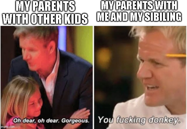 Gordon Ramsay kids vs adults |  MY PARENTS WITH OTHER KIDS; MY PARENTS WITH ME AND MY SIBILING | image tagged in gordon ramsay kids vs adults | made w/ Imgflip meme maker