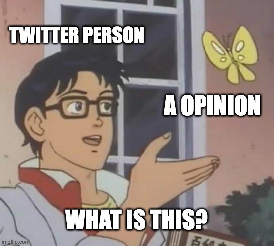 Is This A Pigeon | TWITTER PERSON; A OPINION; WHAT IS THIS? | image tagged in memes,is this a pigeon | made w/ Imgflip meme maker