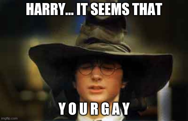 Harry Potter sorting hat | HARRY... IT SEEMS THAT; Y O U R G A Y | image tagged in harry potter sorting hat | made w/ Imgflip meme maker