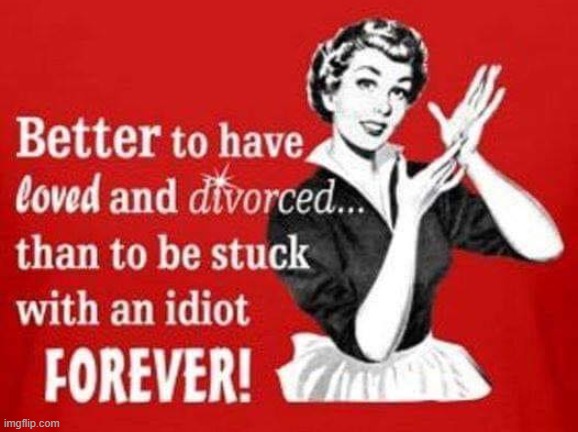 Divorce ! | image tagged in you're an idiot | made w/ Imgflip meme maker