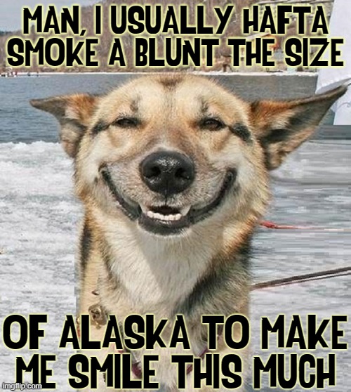 Don't Arrest this Dog! He has Glaucoma; his vet prescribed weed |  MAN, I USUALLY HAFTA
SMOKE A BLUNT THE SIZE; OF ALASKA TO MAKE ME SMILE THIS MUCH | image tagged in vince vance,getting high,medical marijuana,mary jane,blunt,memes | made w/ Imgflip meme maker