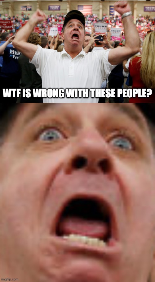 WTF IS WRONG WITH THESE PEOPLE? | image tagged in trump supporter triggered | made w/ Imgflip meme maker