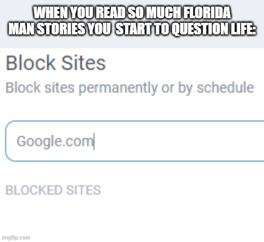 i use bing lol | WHEN YOU READ SO MUCH FLORIDA MAN STORIES YOU  START TO QUESTION LIFE: | image tagged in florida man | made w/ Imgflip meme maker