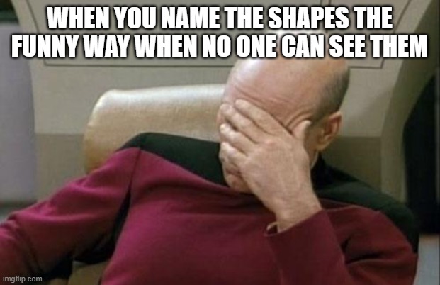 Honestly no one even sees that | WHEN YOU NAME THE SHAPES THE FUNNY WAY WHEN NO ONE CAN SEE THEM | image tagged in memes,captain picard facepalm | made w/ Imgflip meme maker